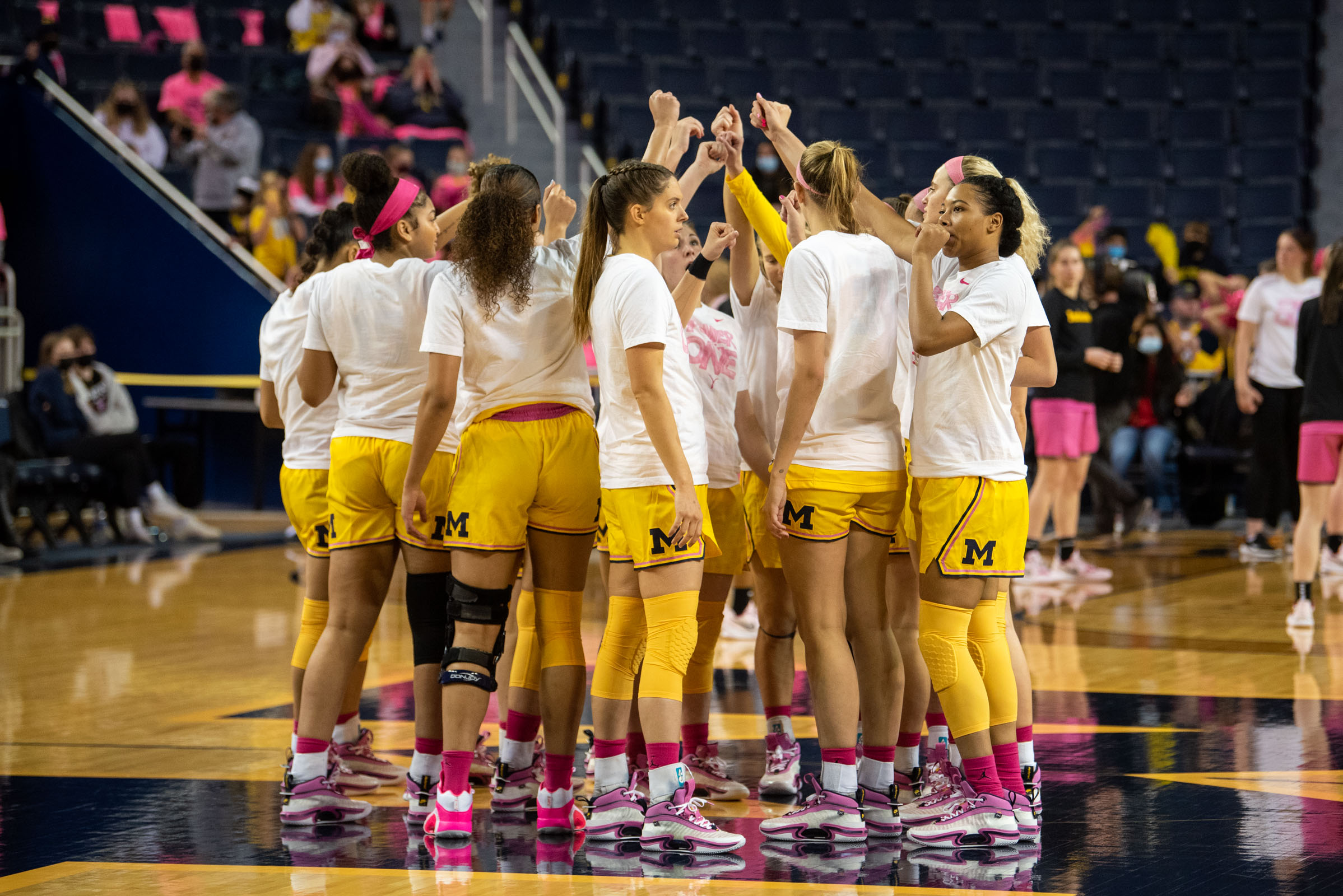 Michigan Pink Game supports battle against breast cancer