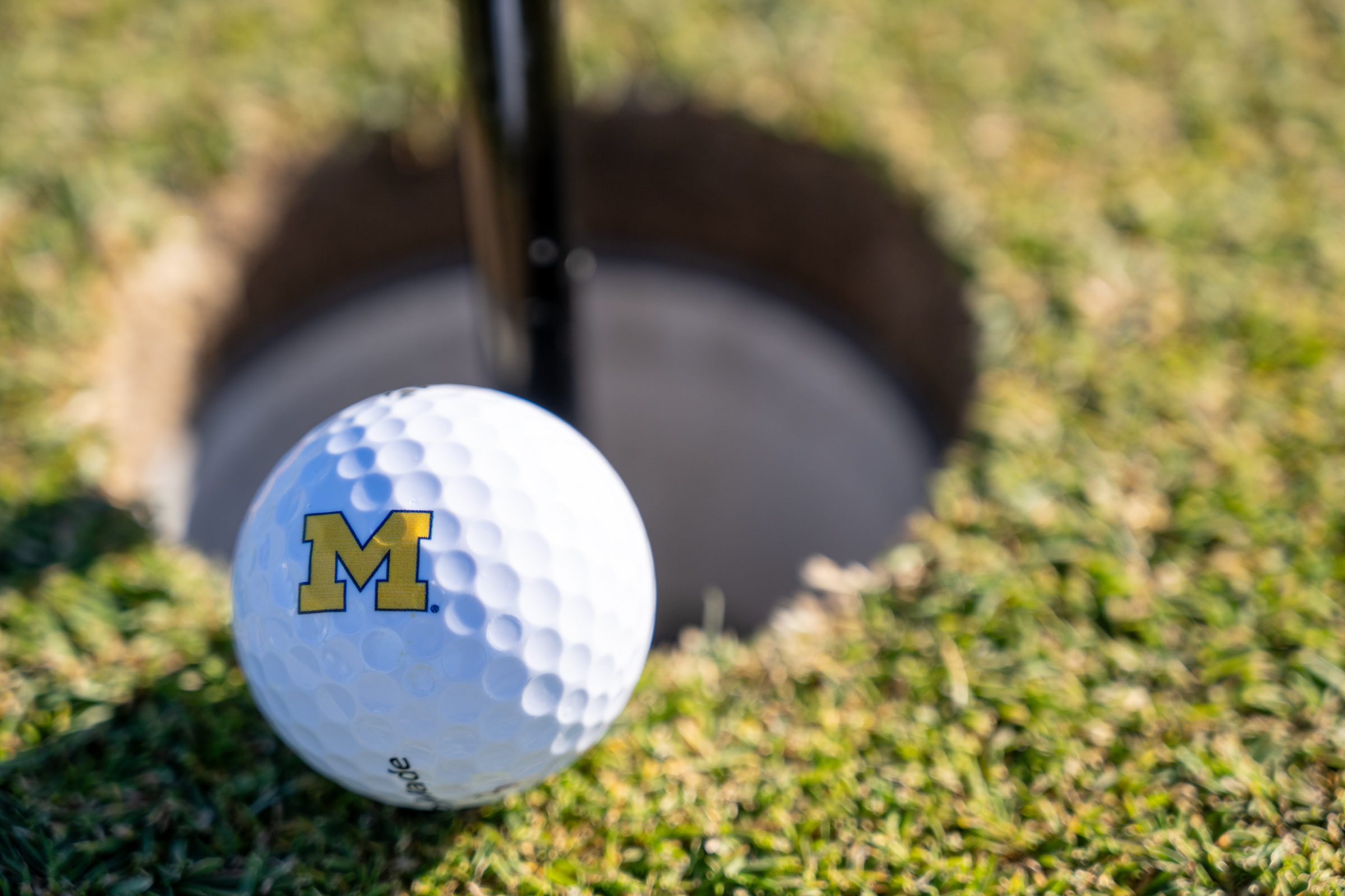 Michigan mens golf scores low to win season opener at Island Resort Intercollegiate photo image